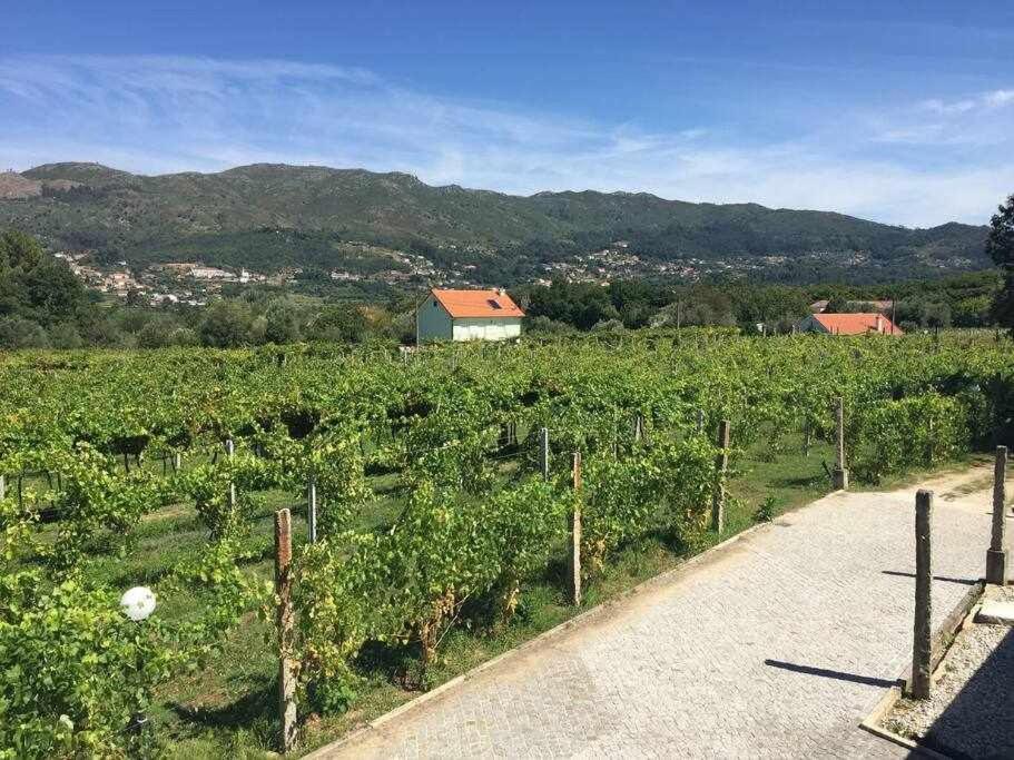 Quinta Dos Brazilaves -
