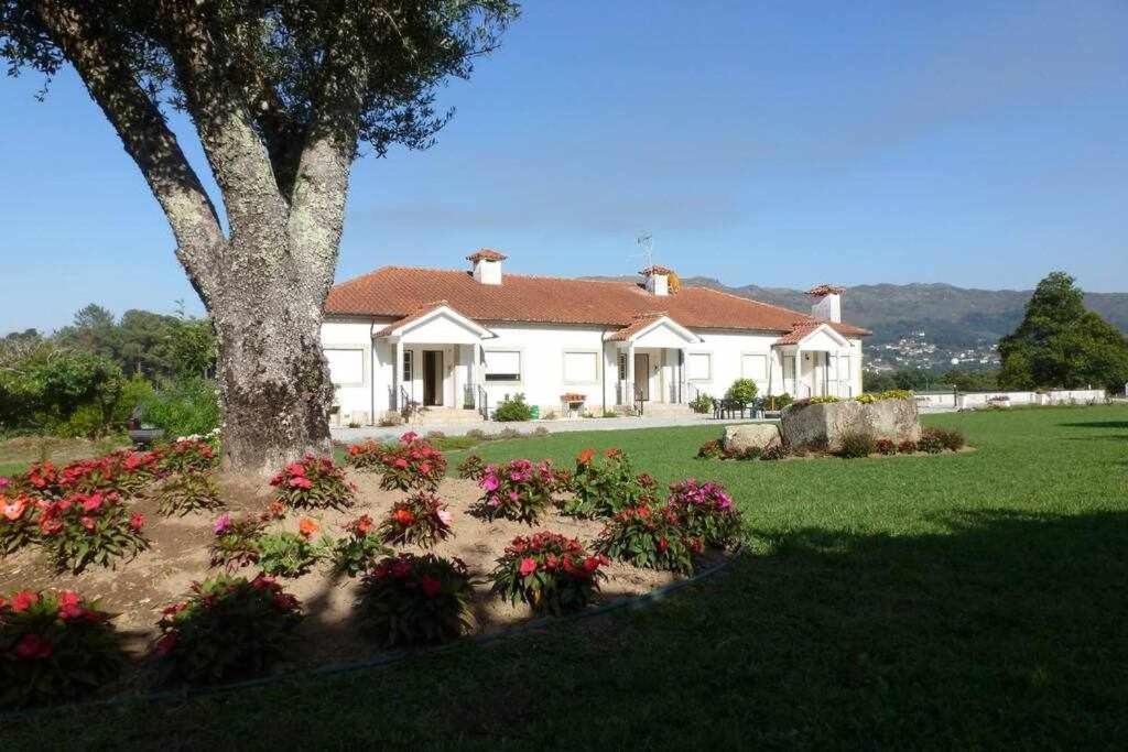 Apartment Quinta Dos Brazilaves - *