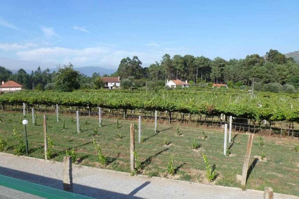 Apartment Quinta Dos Brazilaves -